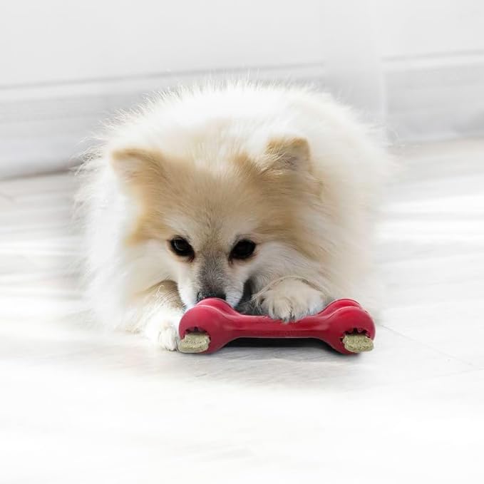 KONG Goodie Bone Small 2 Pack - Classic Durable Natural Rubber Dog Bone- Treat Dispensing - Red - for Small Dogs (2 Pack)