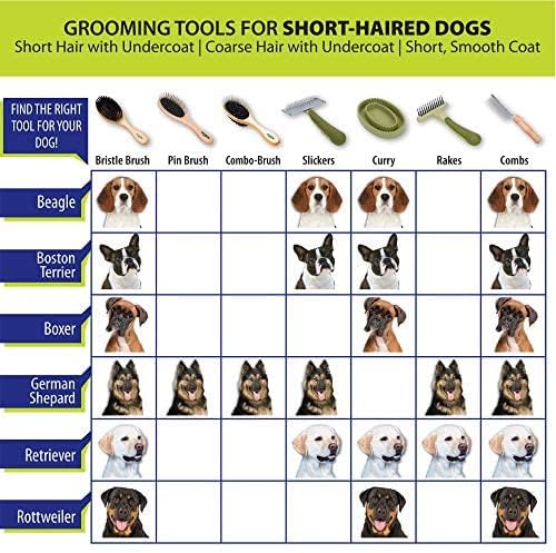Coastal Pet Safari Comfort Grip Curry Brush for Dogs - Dog Bath and Shampoo Brush and Massager for Indoor & Outdoor Dogs with Short Hair - One Size - Image 5