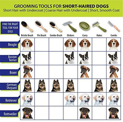 Coastal Pet Safari Comfort Grip Curry Brush for Dogs - Dog Bath and Shampoo Brush and Massager for Indoor & Outdoor Dogs with Short Hair - One Size - Image 5