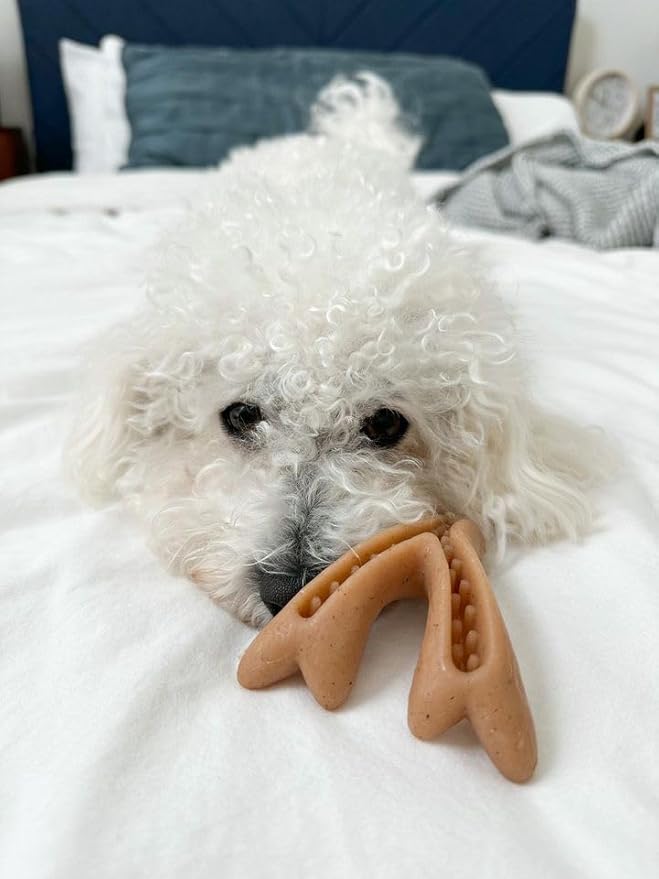 Tall Tails Bacon Scented Antler Chew Toy for Dogs, Medium