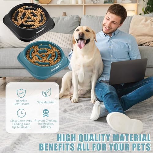 2 Pack Slow Feeder Dog Bowls for Medium Dogs & Cats - Image 5