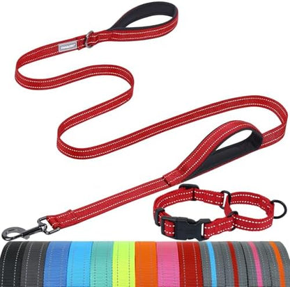 VIVAGLORY Double Handle Dog Leash Twingrip, 5ft x 1in, M, Red by VIVAGLORY