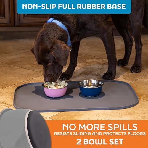 Master Pet Supply Stainless Steel Dog Bowls Set of 2 - Graphite - 16 Oz - Image 4