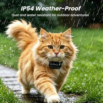 2K POV Cat Camera Collar with 32GB SD Card, WiFi Hotspot for App - Image 5