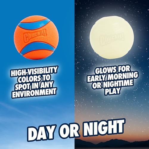 Chuckit! Ultra Ball Dog Fetch Toy, Large 3in, Day and Night 2 Pack, Floats - Image 3