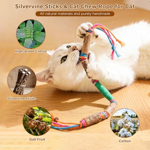 Catnip Toys for Indoor Cats - Silvervine Sticks & Cat Chew Toys for Teeth Cleaning - Refillable Natural Catnip & Silvervine Kit for Kittens & Adult Cats - 8 Pack - Image 2