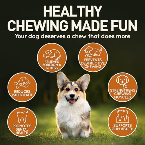 Wildfang® Olive Wood Chewing Sticks for Dogs, Small – Tough Chew Toys for Aggressive Chewers, Puppy Chew Toys for Teething, Training for Chewing Muscles, Olive Wood Stick for Dog (Under 33 lbs), 1pack - Image 5