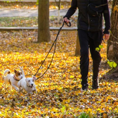 LWBMG Leather Dog Leash 8ft, Multi Function 6 in 1 Leather Leashes for Dogs, Hands Free, Crossbody, Adjustable Waist Belt, Double Ended Training Leash for Medium Large Dogs Black - Image 6