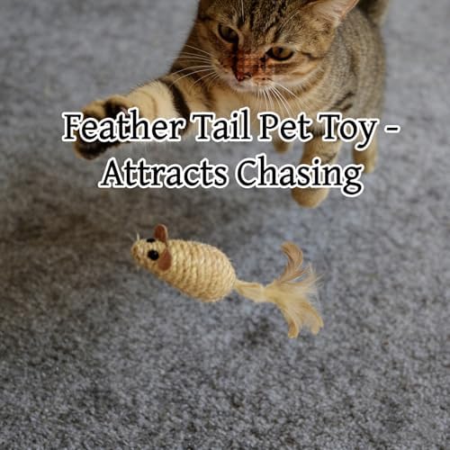 Interactive Cat Toys 6 Pack, Natural Sisal Feather Mice with Rattle - Image 5