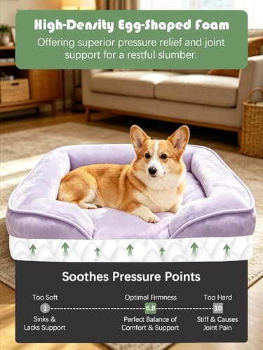 Spotted Play Orthopedic Dog Bed with Sides - Sofa Beds for Medium Dogs, Supportive Foam Pet Couch Bed with Washable Removable Cover, Waterproof Lining and Non-Slip Bottom, Purple - M - Image 4
