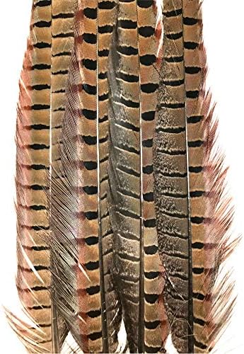 Pheasant Tail Feather Mix (16-18" per 16 Feathers)