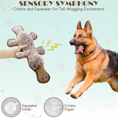 No Stuffing Dog Squeak Toys, 5 Pack Chew Toys for Small to Large Puppies - Image 5
