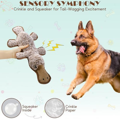 No Stuffing Dog Squeak Toys, 5 Pack Chew Toys for Small to Large Puppies - Image 5