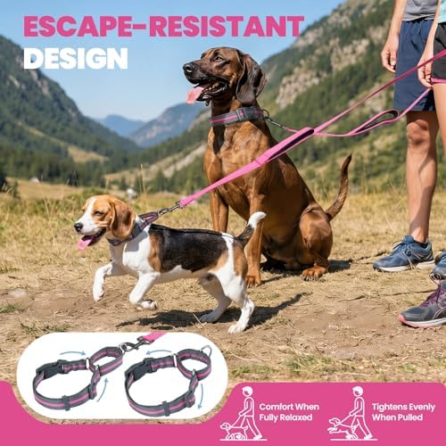 VIVAGLORY Double Handle Dog Leash Twingrip, 5ft x 1in, M2, Pink Grey - Image 2