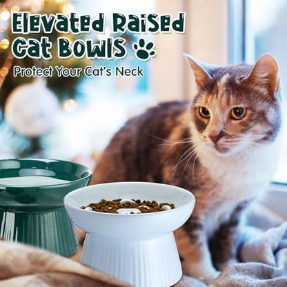Tioncy 2 Pcs Ceramic Elevated Slow Feeder Cat Bowl, Dark Green, Blue - Image 6