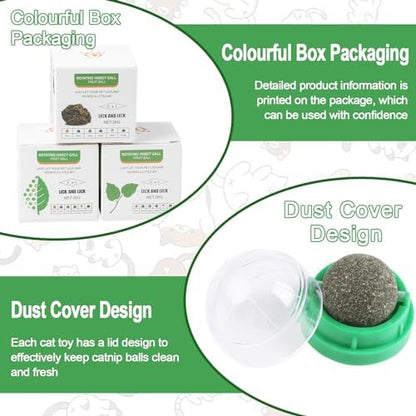 KIMOBER 6 Pack Catnip Ball for Cats,Edible Kitten Chew Toys with Catnip Silvervine Gall Fruit Flavors for Cats Lick Dental Teeth Cleaning Cats Wall Treats - Image 3