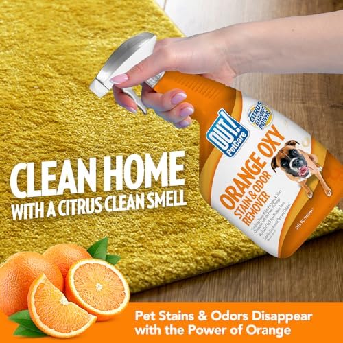 OUT! PetCare Orange Oxy Stain & Odor Remover | Oxy Clean Pet Stain and Odor Eliminator | 32 oz (Pack of 2) - Image 5