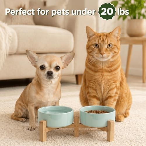 SPUNKYJUNKY Elevated Dog Bowls Ceramic, 5.1'' Dogs and Cat Food Water Bowls Raised with Non-Slip Bamboo Stand for Puppy Small Sized Breed Microwave Dishwasher Safe - 13.5 OZ,Light Green - Image 7