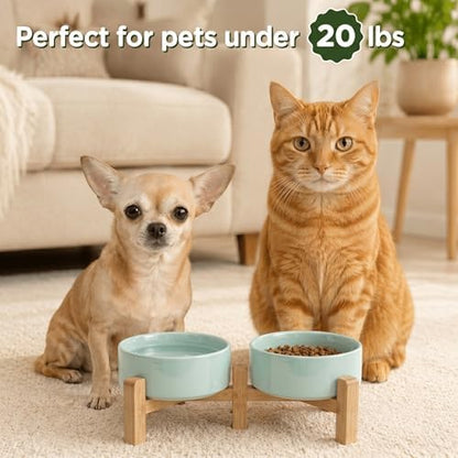 SPUNKYJUNKY Elevated Dog Bowls Ceramic, 5.1'' Dogs and Cat Food Water Bowls Raised with Non-Slip Bamboo Stand for Puppy Small Sized Breed Microwave Dishwasher Safe - 13.5 OZ,Light Green - Image 7