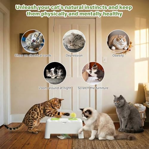 Cat Interactive Automatic Toys, Magic House Whack-a-Mole Toy - Image 4