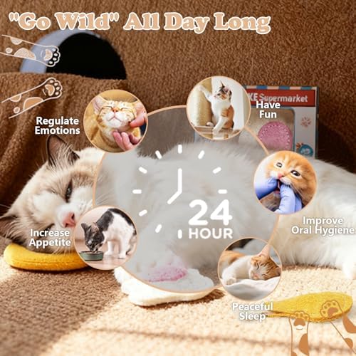 3-Pack Catnip Chew Toys, Natural Loofah Cat Scratch & Teething Toys for Bored Indoor Cats, Interactive Food Shape Treat Toy for Dental Health, Cat Toys with Catnip for Kitty Toys - Image 7