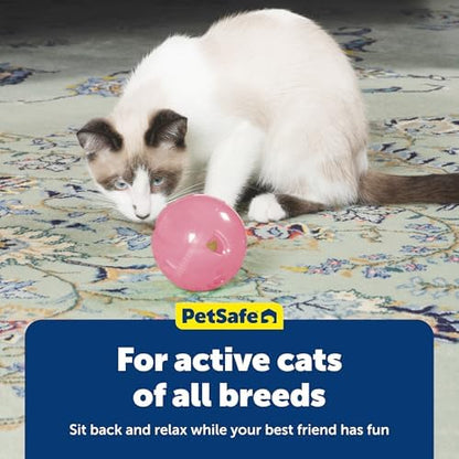 PetSafe Slimcat Feeder Ball Cat Toy, Pink, 1 Count (Pack of 6) - Image 6