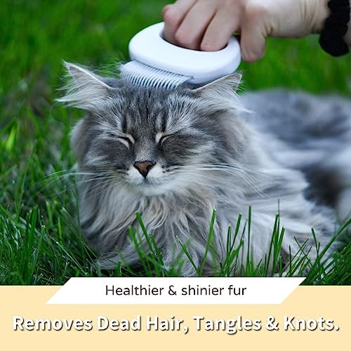 Leo's Paw The Original Pet Hair Removal Massaging Shell Comb - Image 4