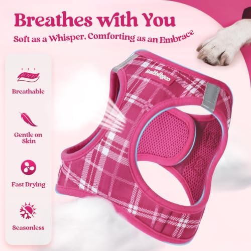 rabbitgoo Dog Harness Medium Sized and Leash Set, Step-in Puppy Pet Vest - Image 4
