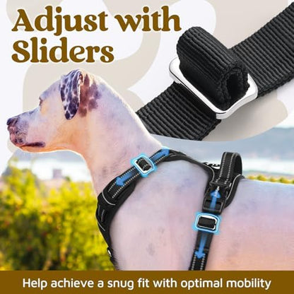 rabbitgoo Dog Harness for Large, No Pull 3 Buckles Easy On & Off - Image 5
