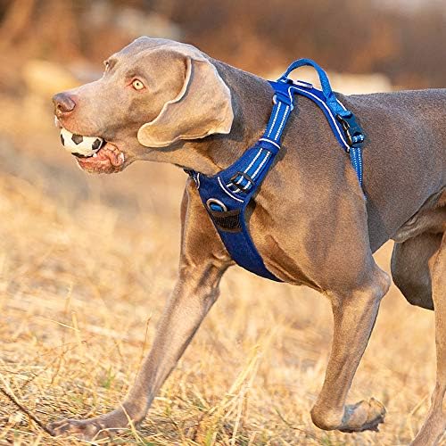 TRUE LOVE Dog Harness No Pull Nylon Reflective Pet Harness Adjustable Comfortable Control Step-in Brilliant Colors Truelove TLH56512 XS Royal Blue - Image 6