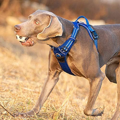TRUE LOVE Dog Harness No Pull Nylon Reflective Pet Harness Adjustable Comfortable Control Step-in Brilliant Colors Truelove TLH56512 XS Royal Blue - Image 6