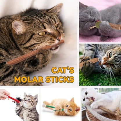 Kyouki Cat Toys Cat Chew Toys, Silvervine Sticks Catnip Rope Toys for Cats Teeth Cleaning, Kitten Dental Care, Kitty for Indoor Cats Increase Appetite,Enhances Oral & Dental Health (20 Pack) - Image 3