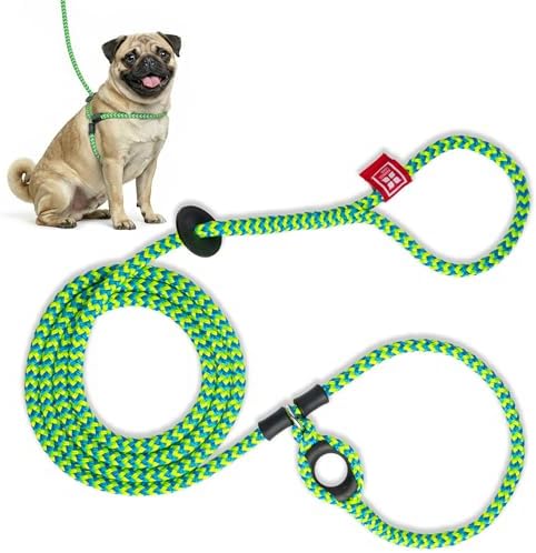 Harness Lead No Pull Dog Harness and Leash Set, Anti Pull Dog Harness, One-Piece Cushioned Rope Safely Prevents Escaping and Pulling (Small/Medium, Peacock/Blue/Lime) by HarnessLead