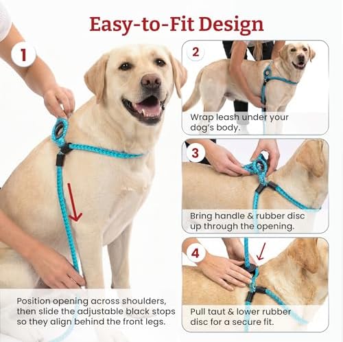 Harness Lead No Pull Dog Harness and Leash Set, Anti Pull Dog Harness, One-Piece Cushioned Rope Safely Prevents Escaping and Pulling (Small/Medium, Pink/Purple) - Image 3