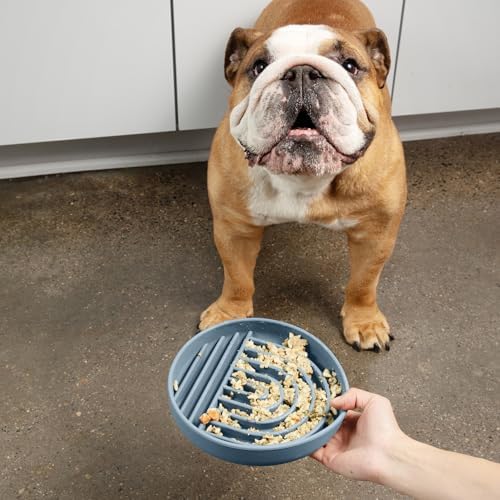 Slow Feeder Dog Bowl - Silicone Dog Bowl, Medium, 7.5" x 1.5" - Ocean - Image 2