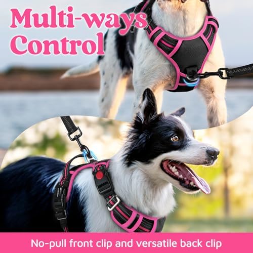 rabbitgoo Dog Harness Small Sized, No Pull 3 Buckles Easy On & Off - Image 3