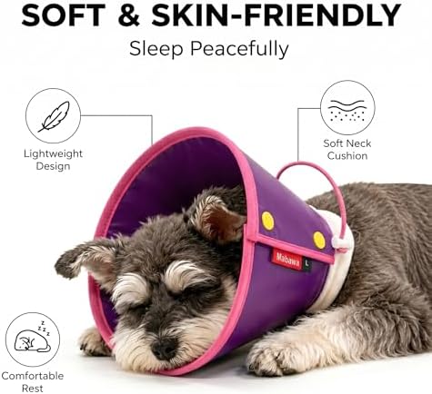 Soft Dog Cone Collar Alternative, Adjustable Pet Recovery Collar After Surgery, Lightweight EVA Foam E-Collar for Dogs & Cats, Water-Repellent Cone to Prevent Licking Wounds (Purple, M+) - Image 2