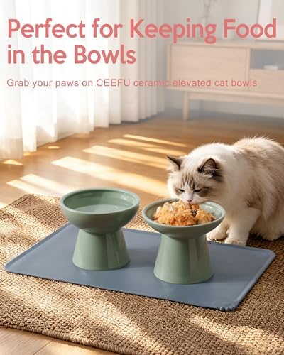 CEEFU 2 Elevated Ceramic Cat Bowls Upgraded with Food Mat for Food & Water - Image 6