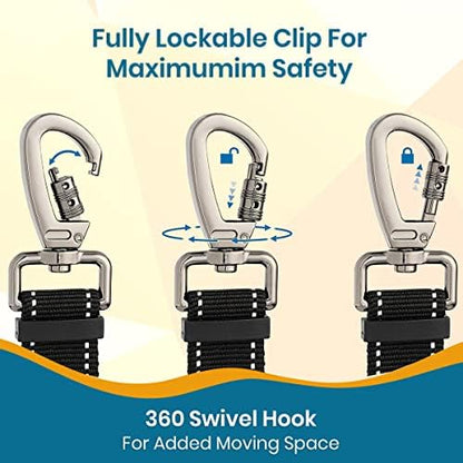 Pawbee 3-in-1 Safety Dog Seat Belt for Cars, Adjustable, Elastic Bungee Harness with Easy Clip for Medium to Large Dogs, 2 Pack - Image 4