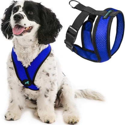Gooby Comfort X Head-in Dog Harness, Choke-Free, Blue, Large by Gooby