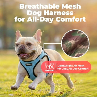 Voyager Step-in Air Dog Vest Harness - Baby Blue/Black Trim, X-Small - Image 5