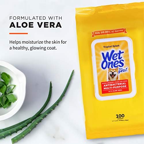 Wet Ones for Pets Multipurpose Dog Wipes, Tropical Splash, 100 Count - Image 2