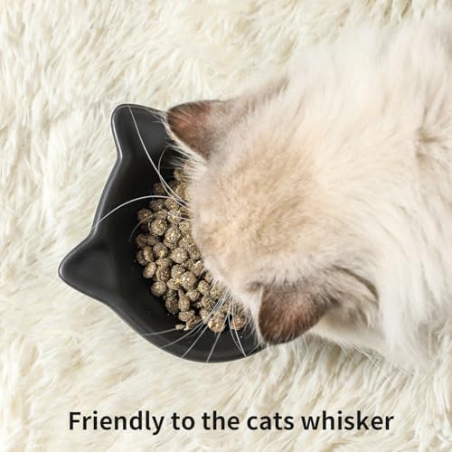 Nihow Elevated Cat Bowls,5 Inch Ceramic Raised Cat Food and Water Bowl Set - Image 5