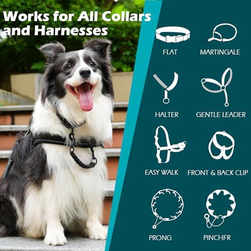 PetBonus Dog Collar Safety Clip, Handmade Prong Collar to Harness Connector - Image 3