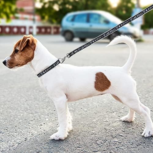 Pets First NFL Raiders Licensed PET COLLAR, Extra Large - Heavy-Duty, Strong, and Durable Dog Collar. Available in 31 Football Teams and 4 Sizes - Image 7