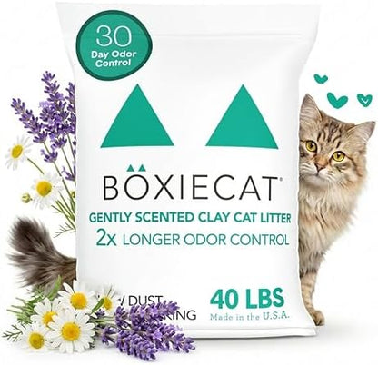 Boxie Premium Scented Clumping Cat Litter 30+ Day Odor Control 40 lb by Boxiecat