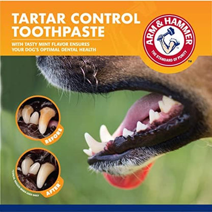 Arm & Hammer Dog Dental Care Fresh Breath Kit, Mint Flavor, 3-Pieces - Image 4