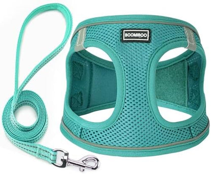 Dog Harness with Leash Set, Step-in Adjustable Puppy Vest, Forest Green XXS by BOOMIBOO