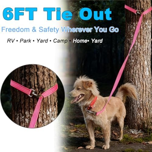6FT Tie Out Dog Leash Dog Tie down 1"Wide Reflective Nylon Tether - Image 2