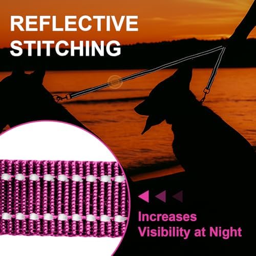 MingXpet Double Dog Leash for Two Dogs, No Pull Dog Leash, 360° Swivel No Tangle for Small Dogs Walking & Training, Shock Absorbing Reflective Bungee, Rose - Image 5